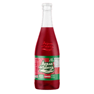 Refrigerante Água da Serra Framboesa 200 ml - 12 unidades